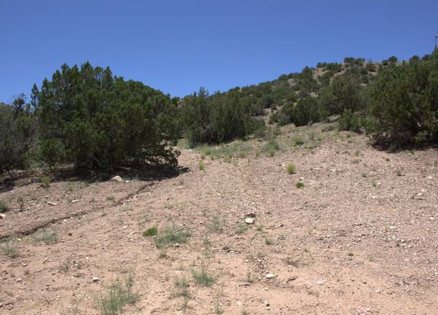 Property at Tres Amigos Rd, Placitas, NM 87043
