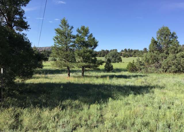 Property at Lot 44 Sunflower Dr, Ramah, NM 87321