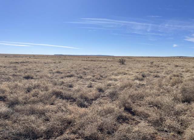 Property at Old Willard Rd, Mountainair, NM 87036