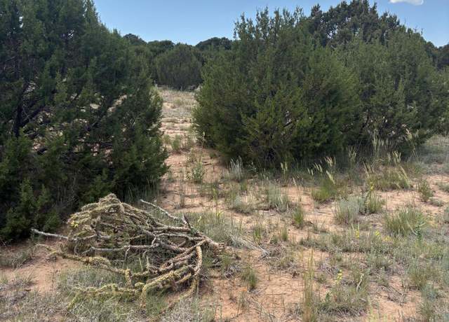 Property at Wilson Ranch Lot#8, Tajique, NM 87016