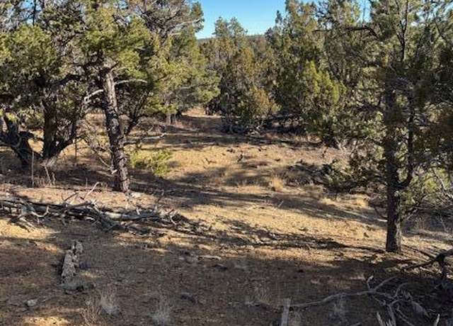 Property at Rocky Knoll Ln Unit 92 Lot 228, Cubero, NM 87014