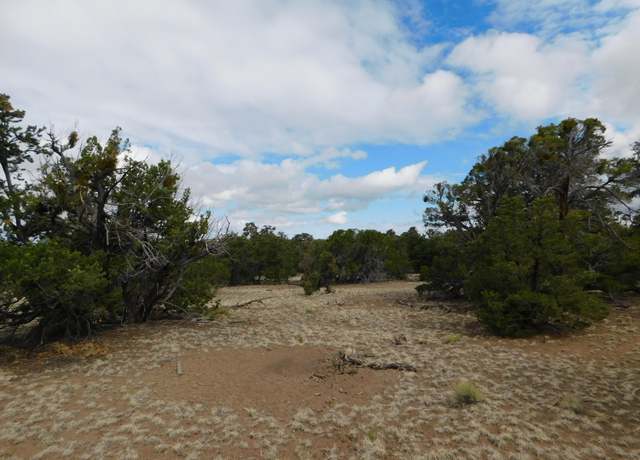 Property at Lot 138 Agua Fria Loop, Quemado, NM 87829