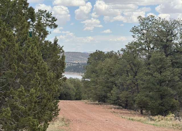 Property at Lot 65 Blue Water Acres, Thoreau, NM 87323