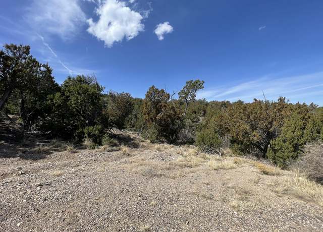 Property at 31 Canon Escondido, Sandia Park, NM 87047