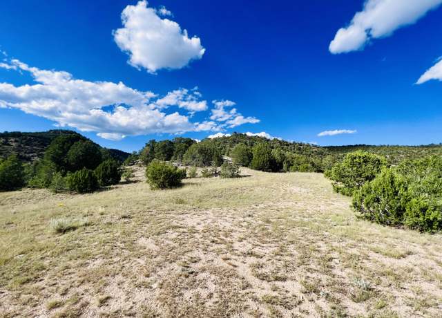 Property at 642 Co Rd B43b, Ilfeld, NM 87538