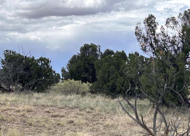 Property at Lot 95 Abbe Spgs, Magdalena, NM 87825