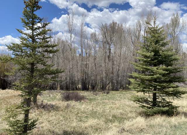Property at 0 Sunflower Dr, Chama, NM 87520