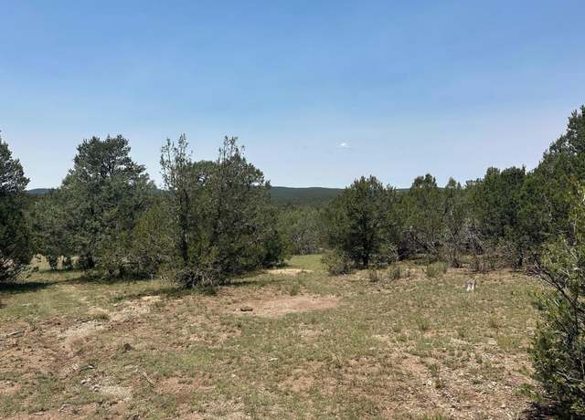 Property at 0 Off Of Hwy 217, Tijeras, NM 87059