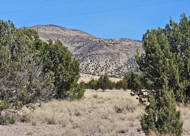 Property at Lot 31 Magdalena Ranch Ests, Magdalena, NM 87825