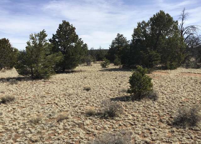 Property at Lot 15 Country Ln, Ramah, NM 87321