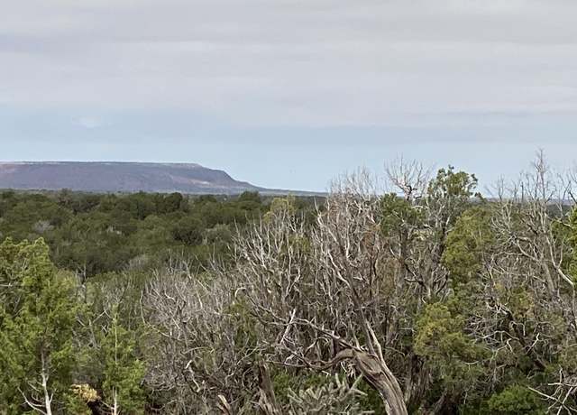 Property at 10 Bull Canyon Loop, Newkirk, NM 88431
