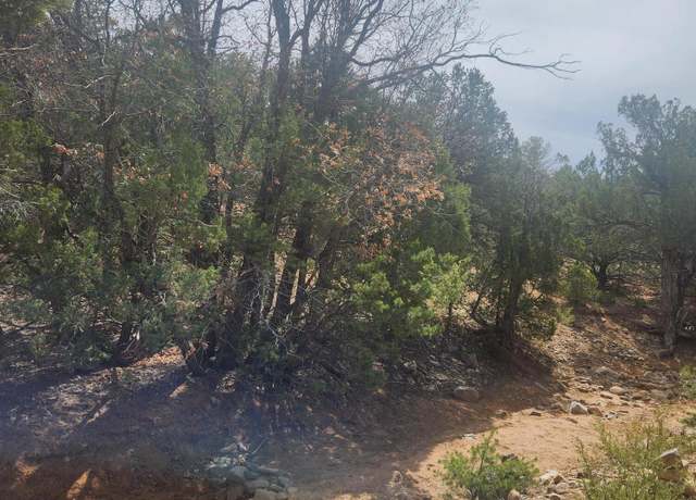 Property at La Madera Rd, Sandia Park, NM 87047