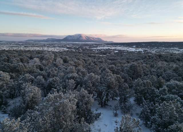 Property at 22 Punch Ct, Tijeras, NM 87059