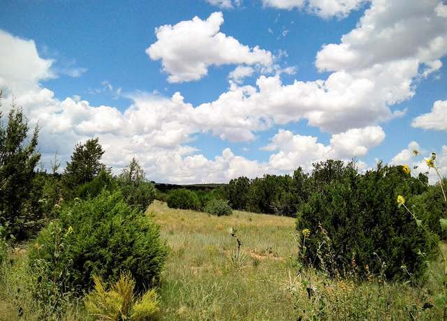 Property at 110 Jesse James Rd, Edgewood, NM 87015