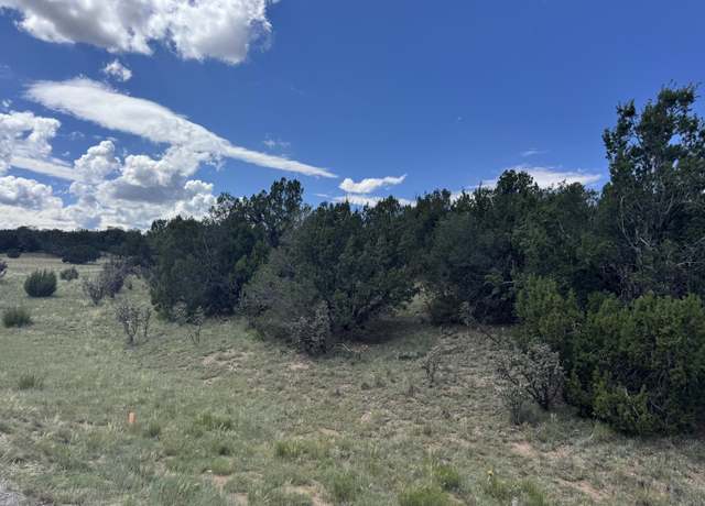 Property at 54 Las Colinas Rd, Edgewood, NM 87015