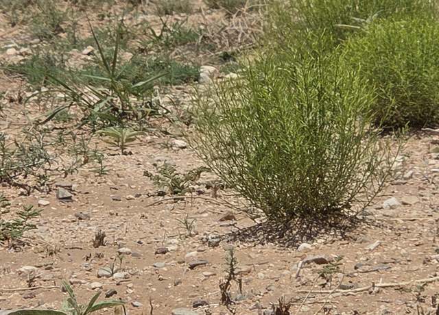 Property at VL Rge Lot 12 13 14 15 Block 380 #14, Belen, NM 87002