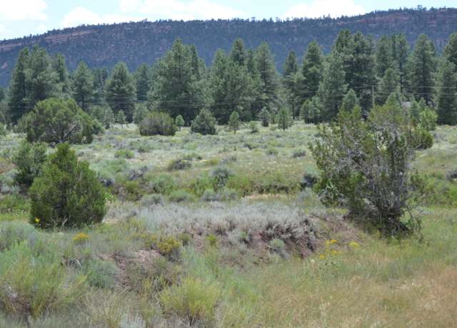 Property at Timberlake Rnch, Ramah, NM 87321