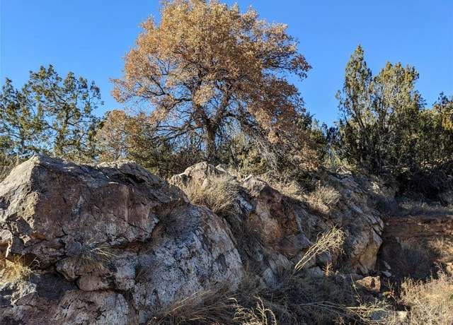 Property at 626 County Road B36, Ribera, NM 87560