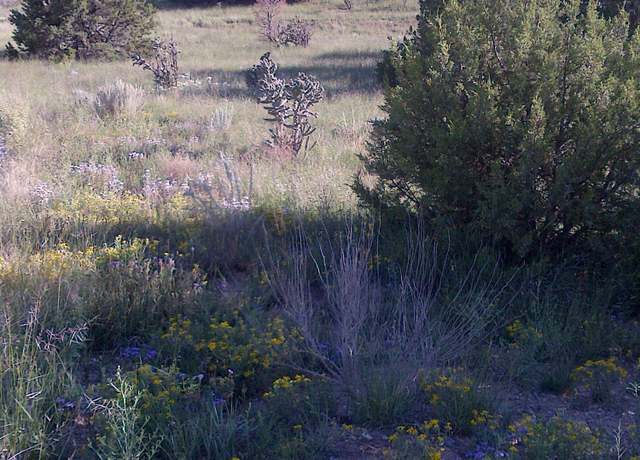 Property at 0 Hilburn Ct, Edgewood, NM 87015