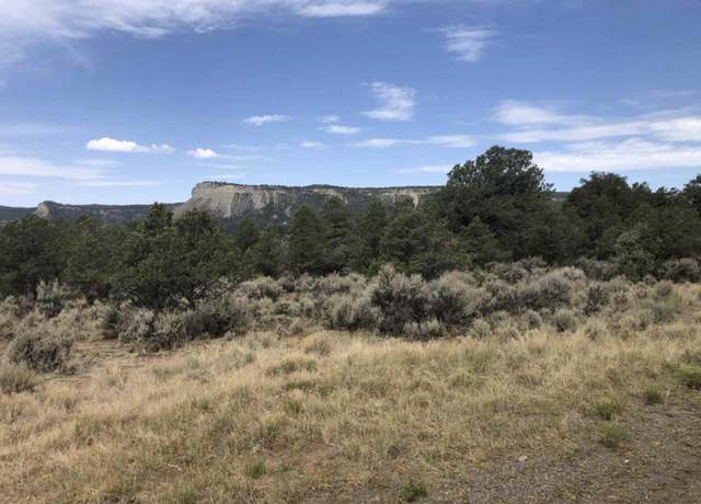 Property at S Leaning Lot A, Tierra Amarilla, NM 87575