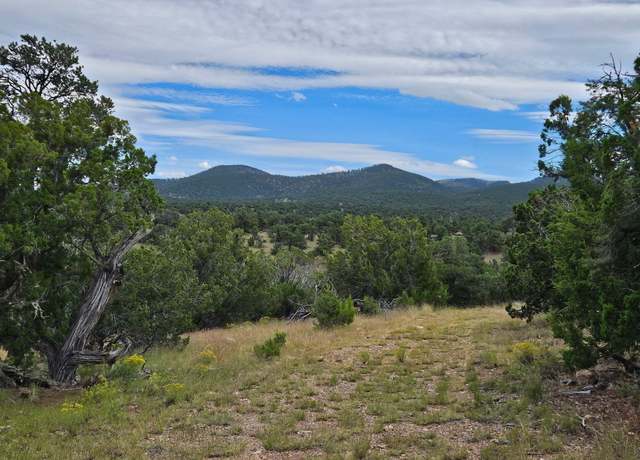 Property at 43 Carson Drive Last Frontier, Datil, NM 87821