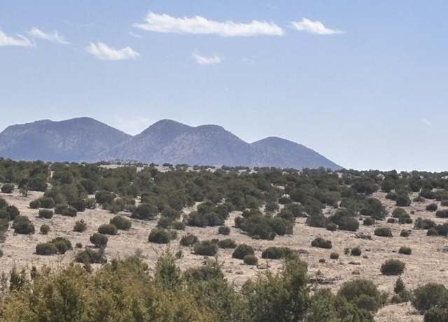 Property at Lot 173 Pinon Springs Rnch, Magdalena, NM 87825