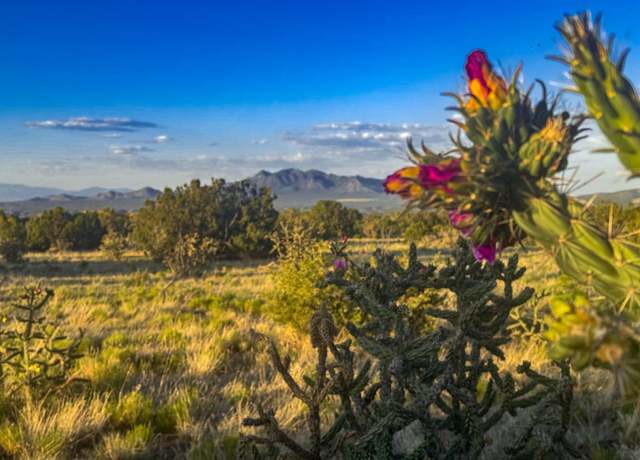 Property at 90 Vista La Madera, Sandia Park, NM 87047
