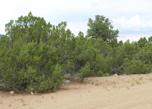 Property at 250 Five Hills Dr, Tijeras, NM 87059