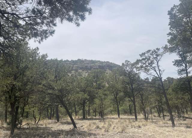 Property at Lot 30 Hop Cyn, Magdalena, NM 87825