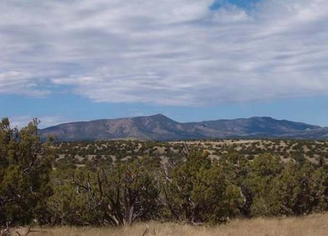 Property at Lot 45 Abbe Spgs, Magdalena, NM 87825