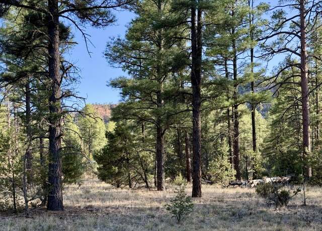 Property at R211158 County Road 12 / Box Rd S, Ramah, NM 87321