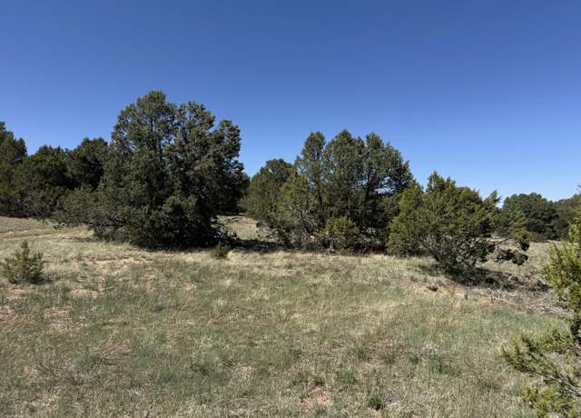Property at Tract 3 Gonzales Rd, Edgewood, NM 87015