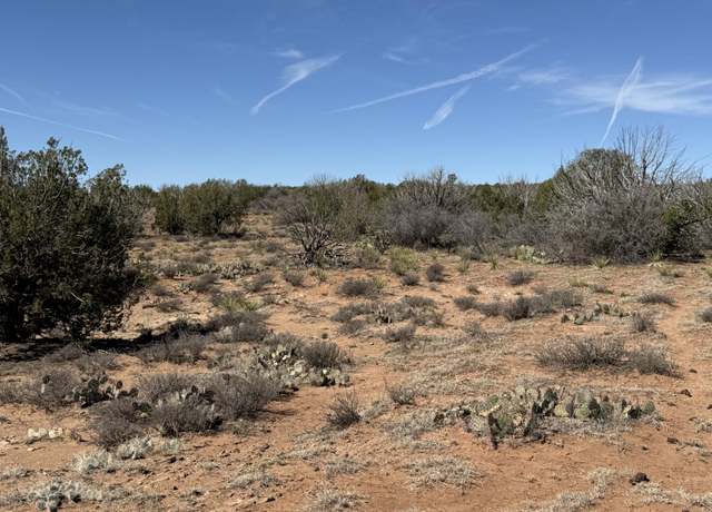 Property at Lot 61 Bull Canyon Loop, Newkirk, NM 88431