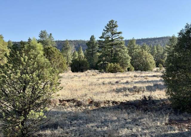 Property at Lot 21 Cottonwood Ln, Ramah, NM 87321