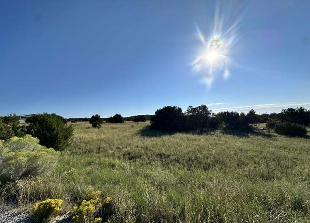 Property at Lot 29 Block 3, Edgewood, NM 87016