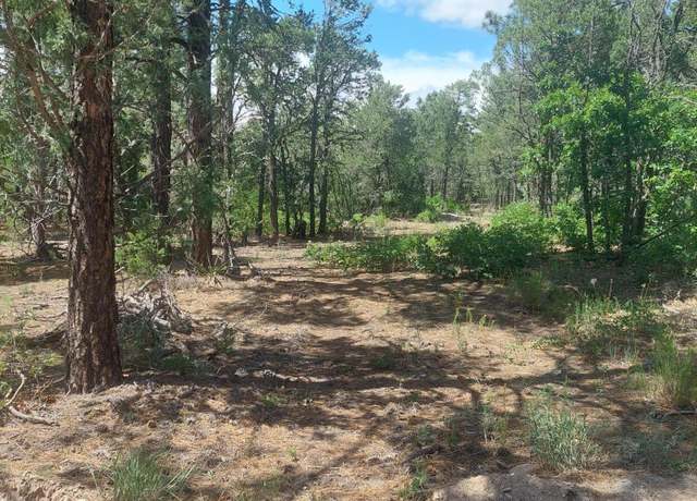Property at 16 Secret Pines Ct, Tijeras, NM 87059
