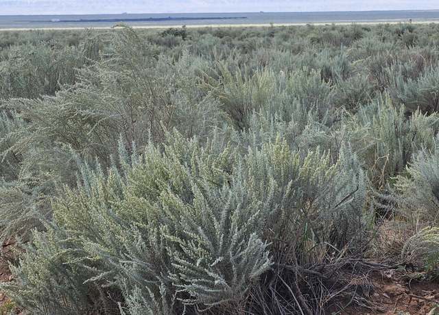 Property at VL Rge Lots 16,17,18,19 Block 377 #17, Rio Communities, NM 87002