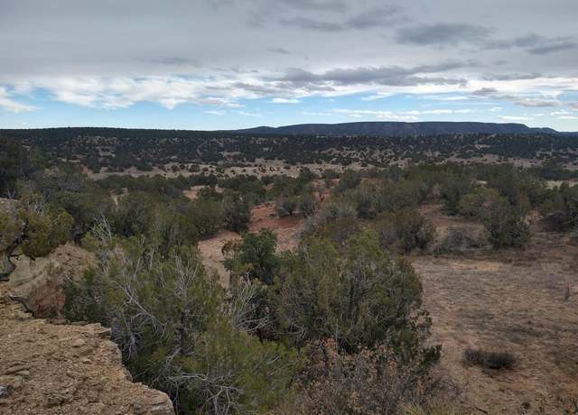 Property at Tract 2 Bridle Path Loop, Mountainair, NM 87036