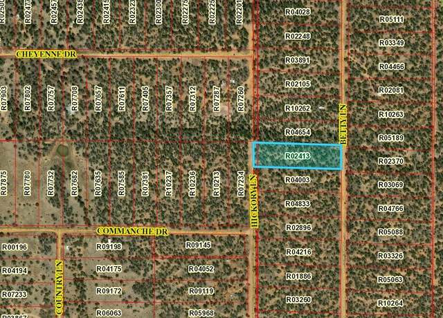 Property at Lot 591 Betty Ln, Ramah, NM 87321