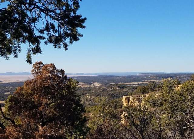 Property at 7 Cebolla Canyon Rd, Pie Town, NM 87827
