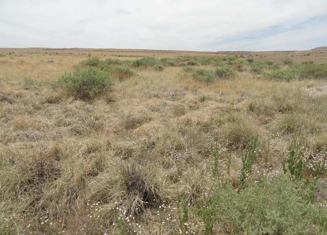 Property at Canyon, NM 87026