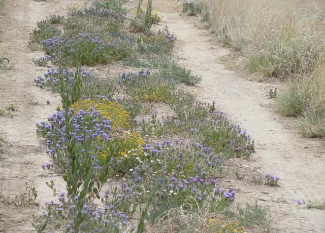 Property at Canyon Rd, NM 87026