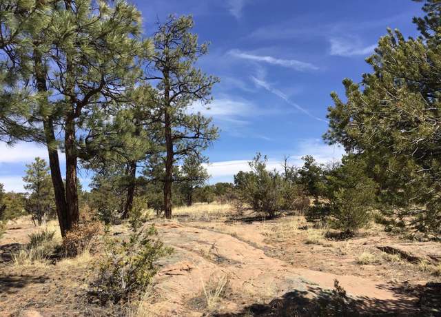 Property at Lot 636 Edgewood Dr, Ramah, NM 87321