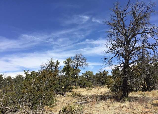 Property at Lot 636-A Edgewood Dr, Ramah, NM 87321