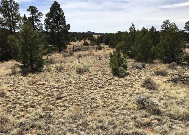 Property at Lot 682 Che Loop, Ramah, NM 87321