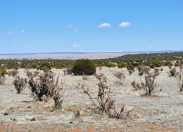 Property at 170 Brazos Loop, Estancia, NM 87016