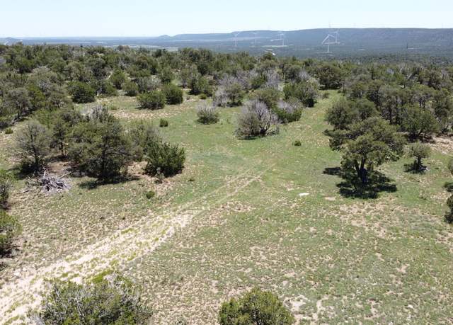 Property at Lot 16 Swayback Trl, Corona, NM 88318