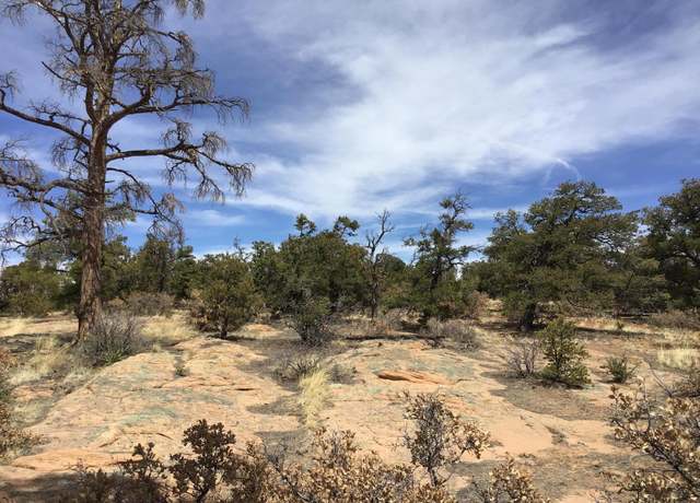 Property at Lot 696 Gabe Rd, Ramah, NM 87321