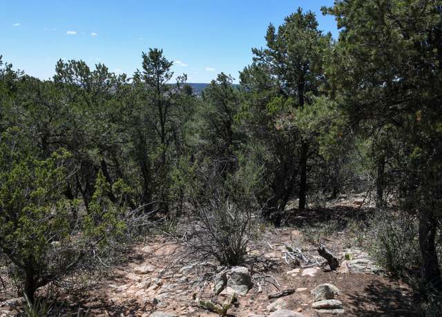 Property at 4 Joy Ct, Sandia Park, NM 87047