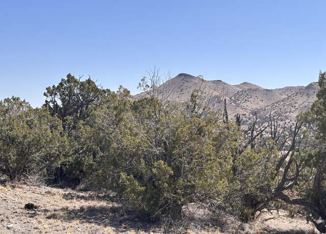 Property at Lot 126 Abbe Spgs, Magdalena, NM 87825